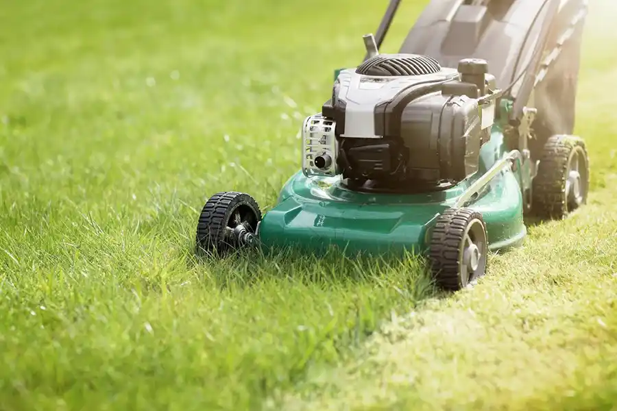 Can you mow wet grass in Bellingham, WA