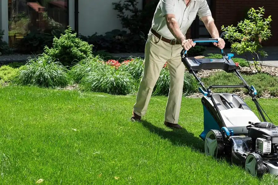 Can you mow wet grass Bellingham, WA