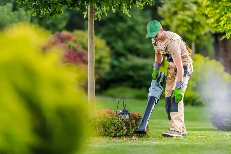 How To Clean A Backyard Bellingham, WA