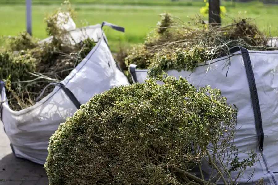 How to clear a yard full of weeds in Bellingham, WA