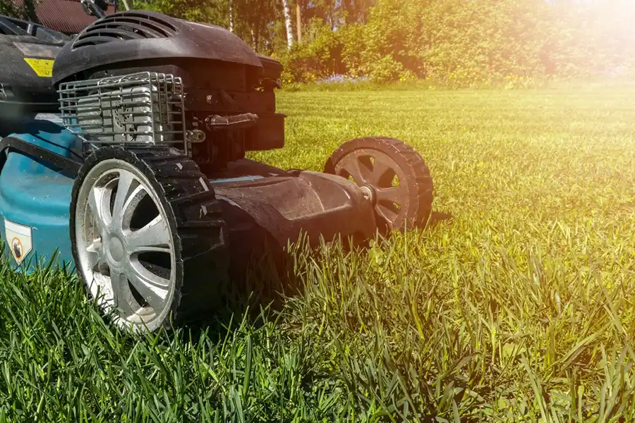 How to mow a lawn in Bellingham, WA