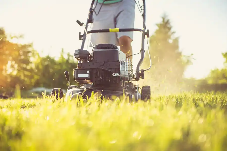 How to mow a lawn Bellingham, WA