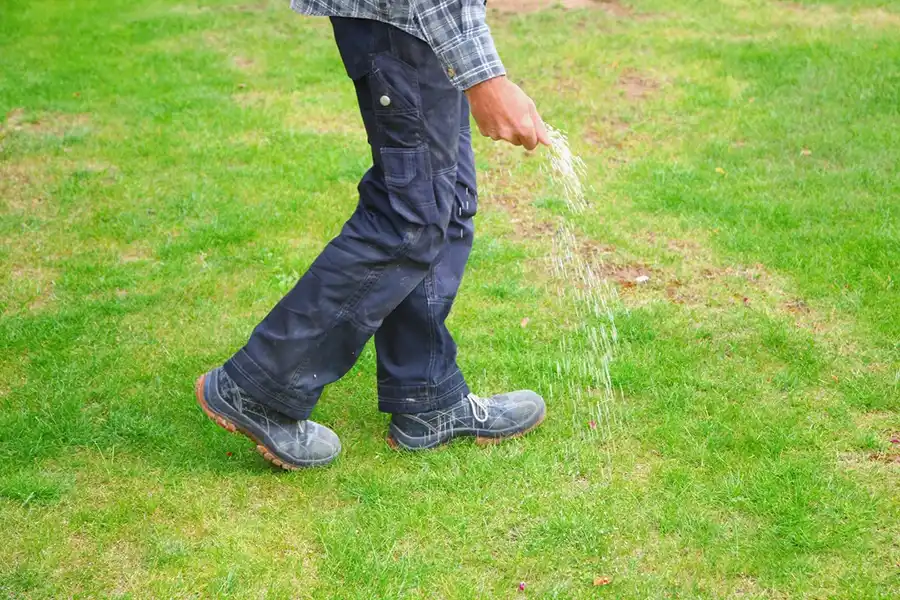 Lawn Fertilization
