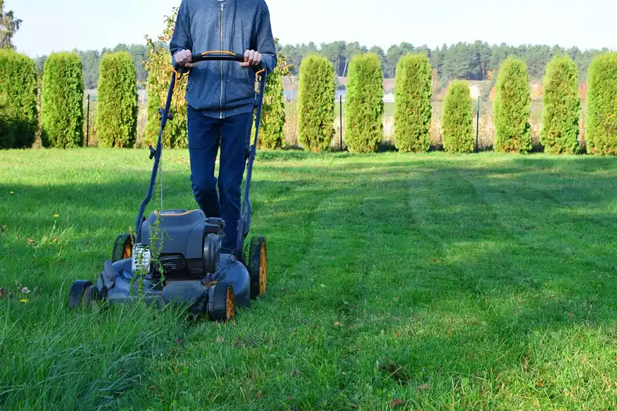 Efficient Lawn Mowing in Bellingham, WA