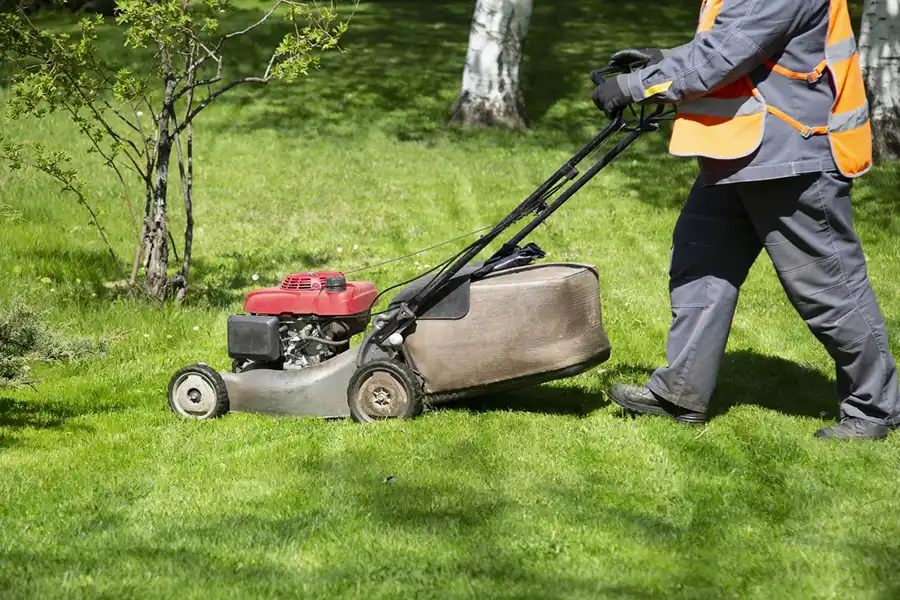 Lawn Mowing
