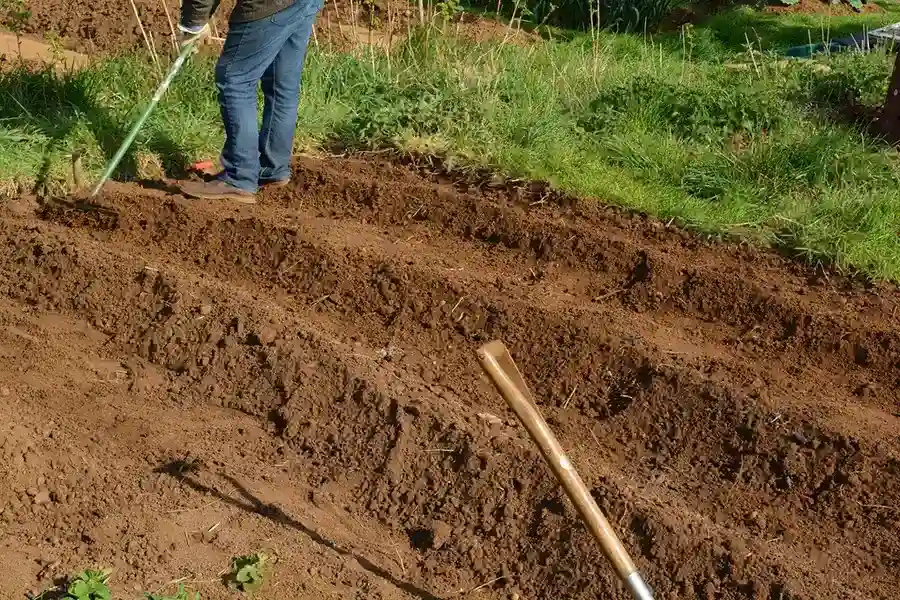 Best Mulching in Bellingham, WA