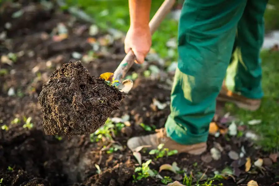 Reliable Mulching in Bellingham, WA