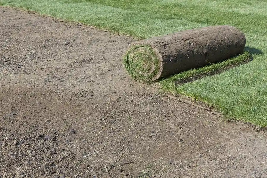 Efficient Sod Installation in Bellingham, WA