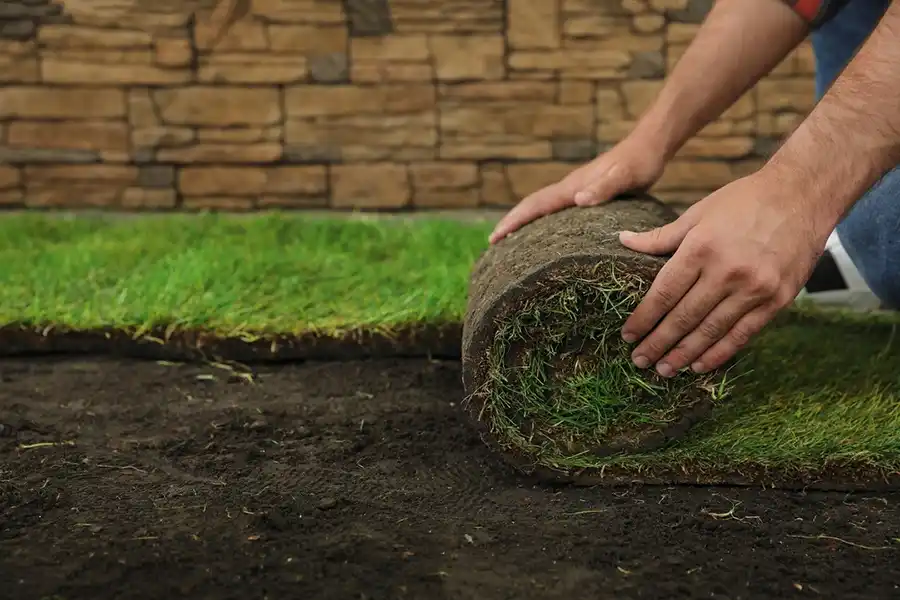 Reliable Sod Installation in Bellingham, WA