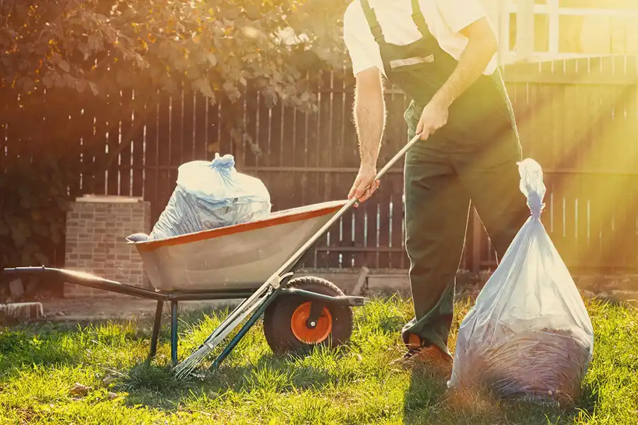 Best Yard cleanup in Bellingham, WA